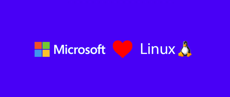 Windows 10 with Linux kernel